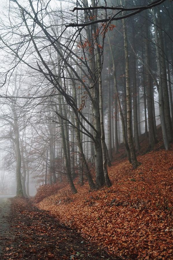 Apartamenty Bm'Kruk Stronie Śląskie Esterno foto