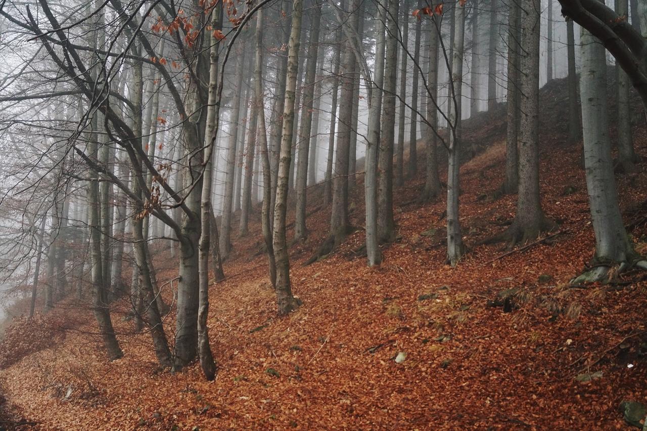Apartamenty Bm'Kruk Stronie Śląskie Esterno foto