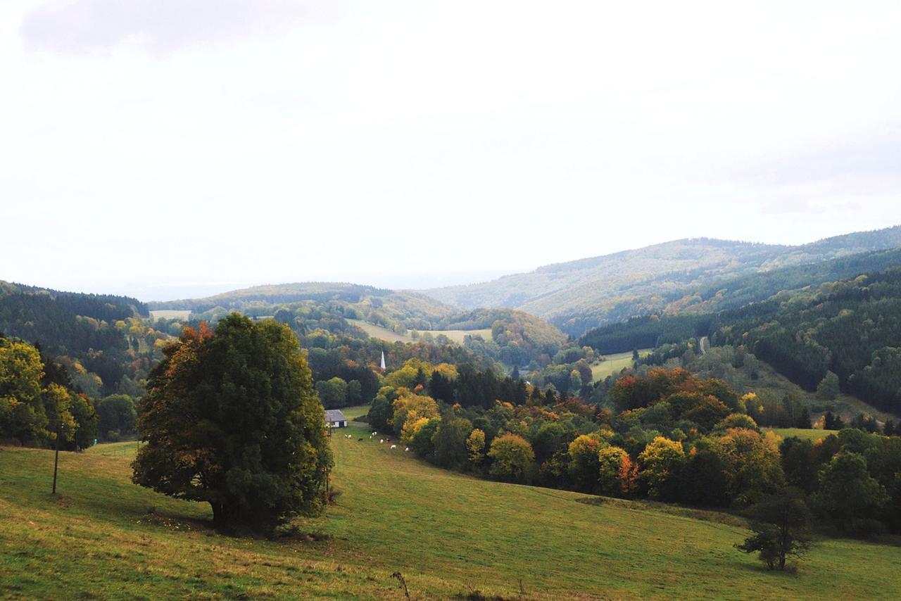 Apartamenty Bm'Kruk Stronie Śląskie Esterno foto