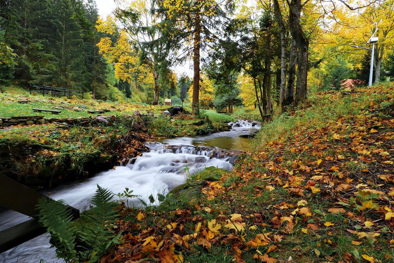 Apartamenty Bm'Kruk Stronie Śląskie Esterno foto